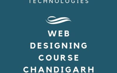 Looking for Web Designing Candidate in Chandigarh