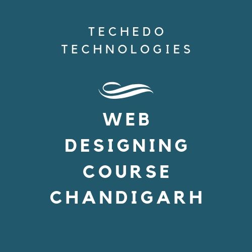 Looking for Web Designing Candidate in Chandigarh