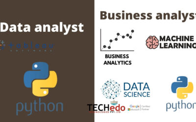 Business Analyst or Data Analyst (What to choose)