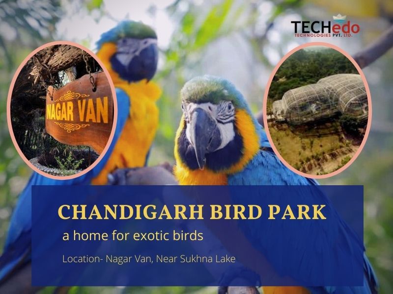 Bird Park in Chandigarh-Sukhna Lake-Chandigarh Bird Park location, Timings