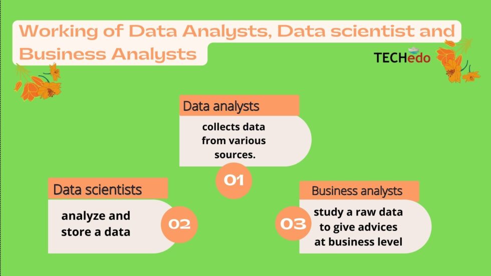 Data analyst vs data scientist vs business analyst