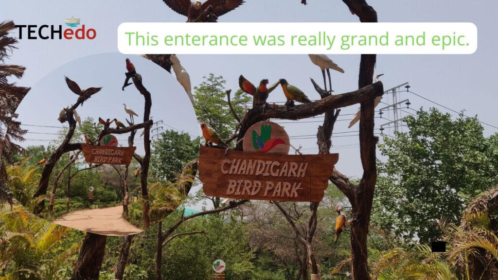 Chandigarh Bird Park