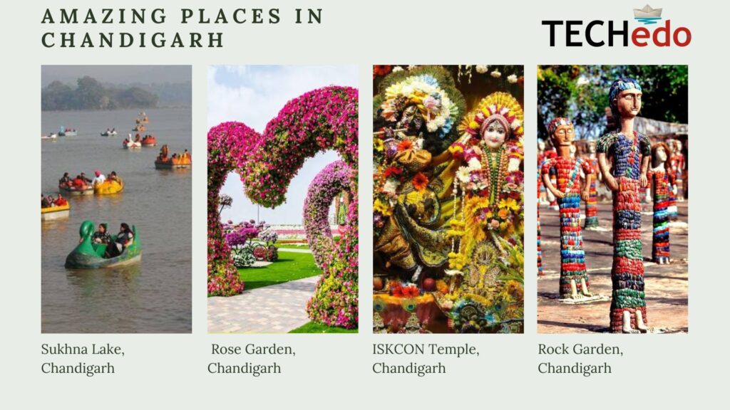 Amazing Places in Chandigarh.