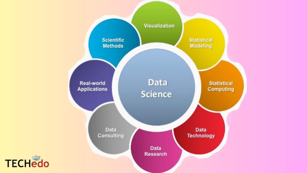 roles in data science