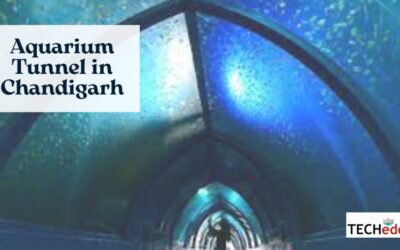 Aquarium tunnel in Chandigarh