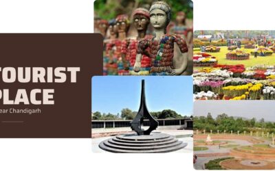 City Beautiful Chandigarh :